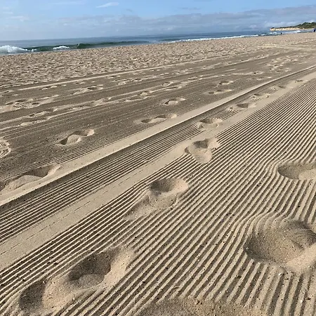 Valencia Gardens Deluxe *