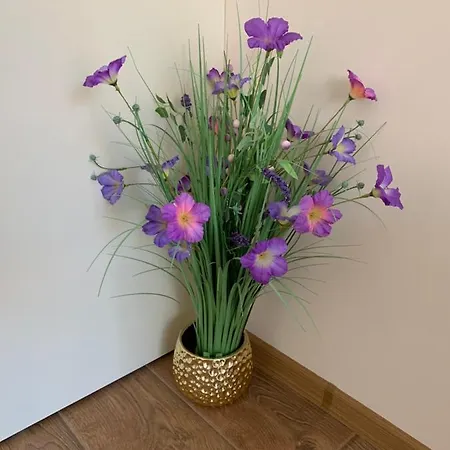 Valencia Gardens Deluxe * Несебр
